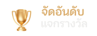 cat888